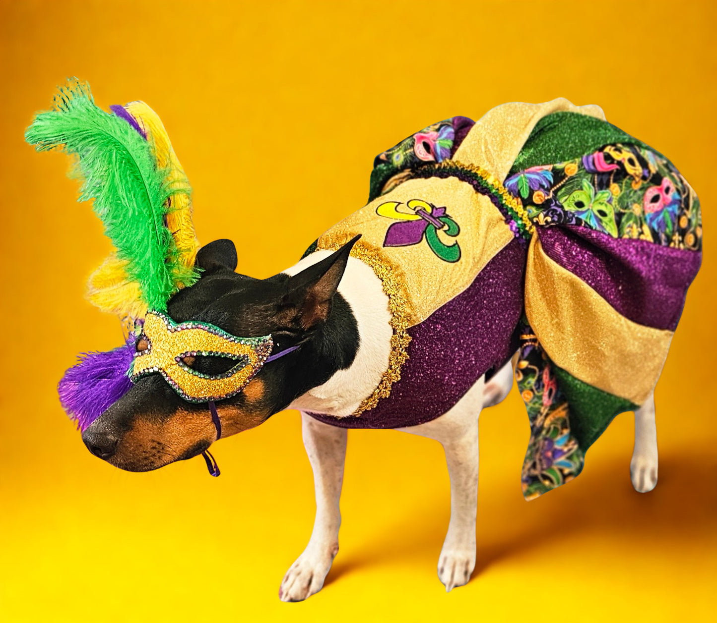 Mardi Gras Pet Masks, Mardi Gras Dog Mask, Fat Tuesday pet, feather pet mask