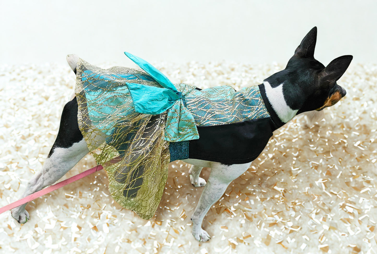 Glitter tulle special occasion pet dress, black, gold, teal pet dress