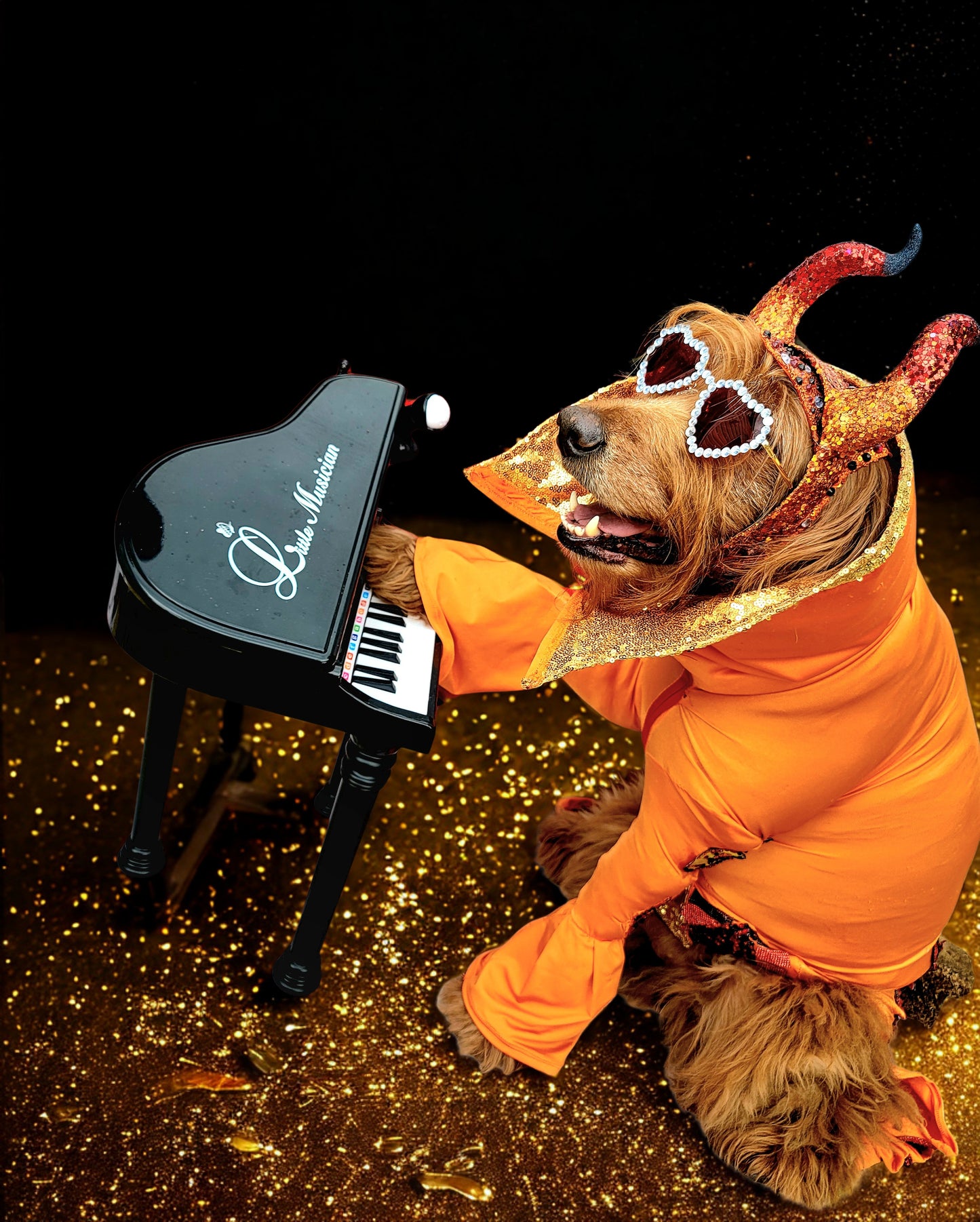 Elton John Rocketman Orange Devil Pet Costume, Elton John Rocketman bejeweled "Devil" pet dog cat costume, Orange Devil pet costume