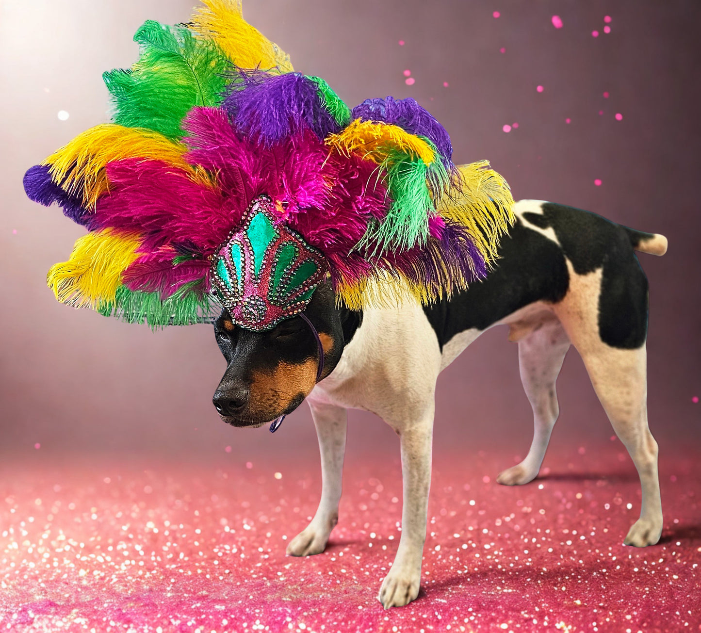 Mardi Gras pet feather showgirl headress, carnival feather pet headress