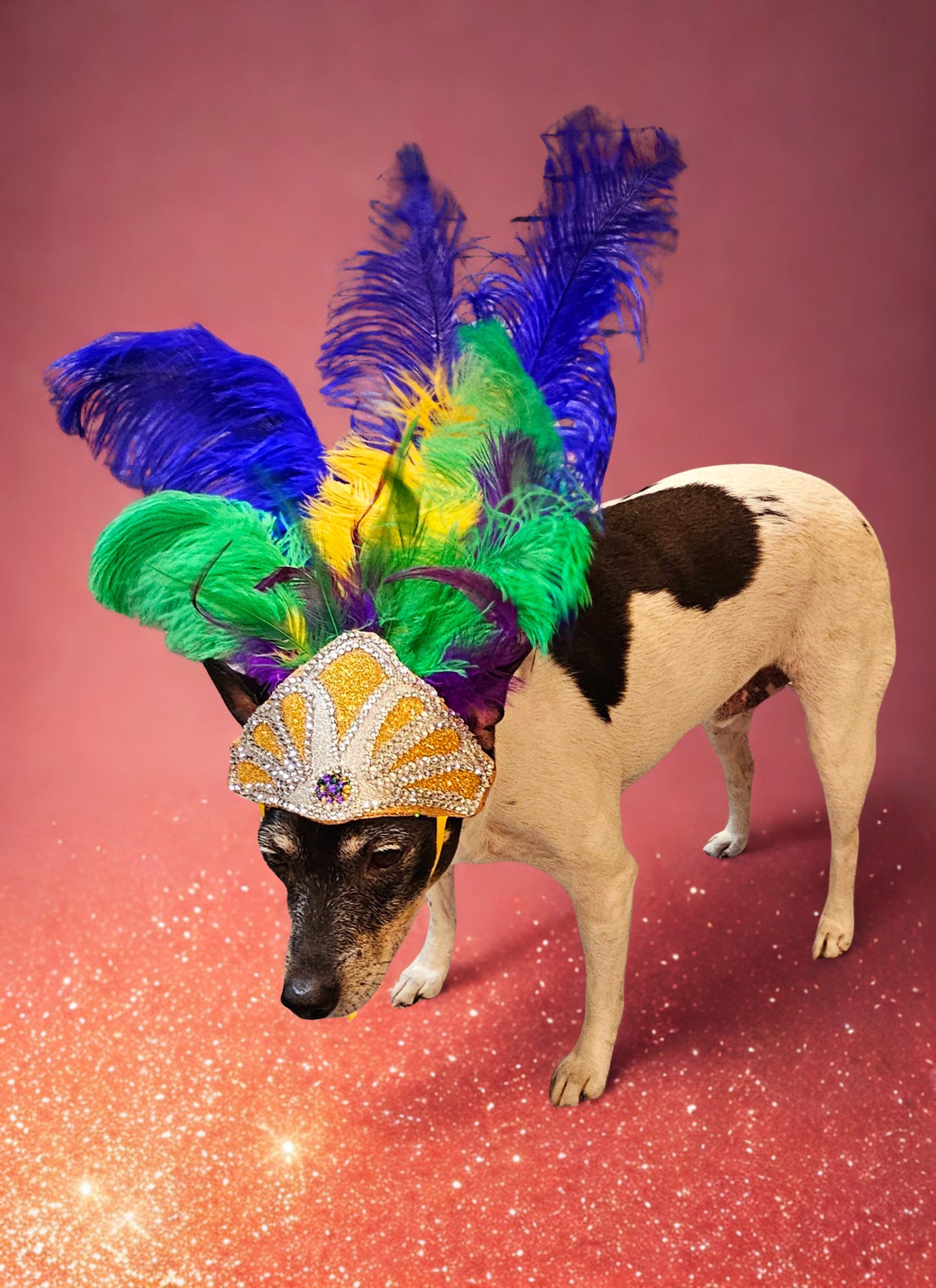 Mardi Gras pet feather showgirl headress, carnival feather pet headress