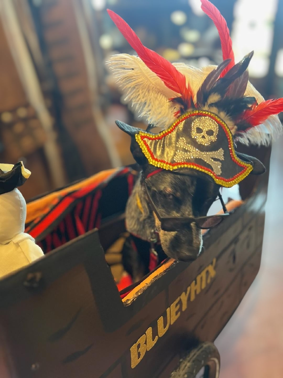 Pet Pirate hat, pet pirate sword, pet pirate patch, pirate pet costume