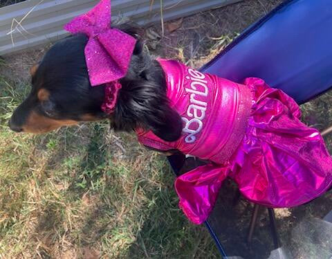 Barbie Pet Dress, Barbie dog dress, Barbie pet costume