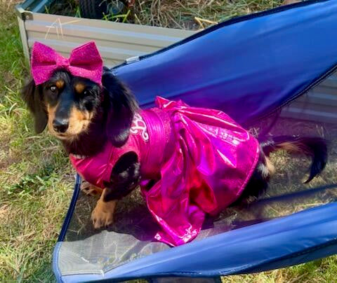 Barbie Pet Dress, Barbie dog dress, Barbie pet costume