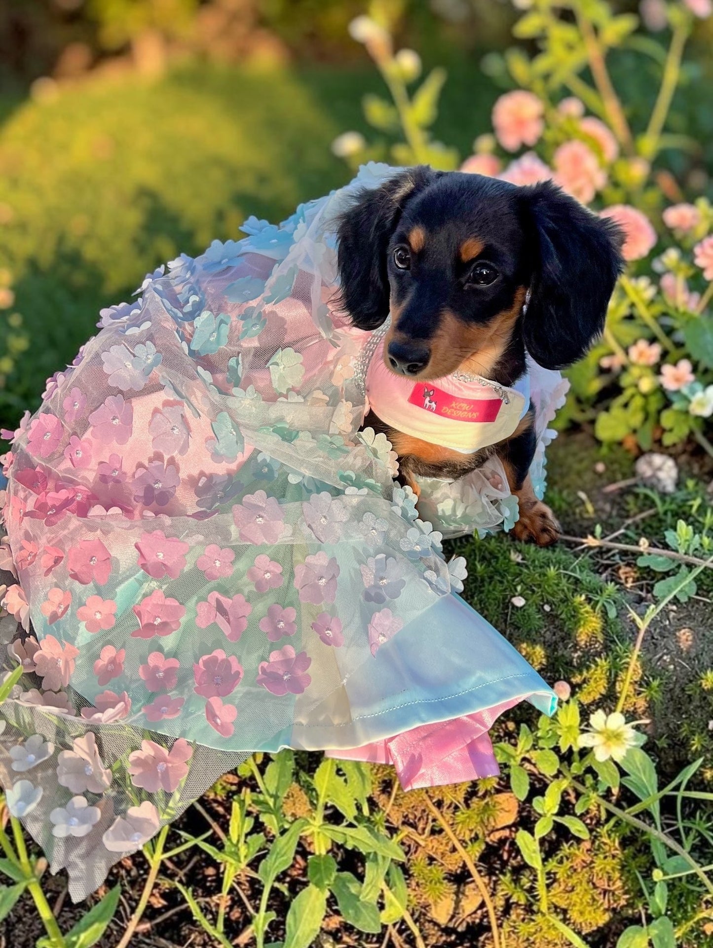 Flower pet dress, flower dog dress, flower cat dress, pastel pet dress, special occasion pet dress, couture pet dress, 3D flower pet dress