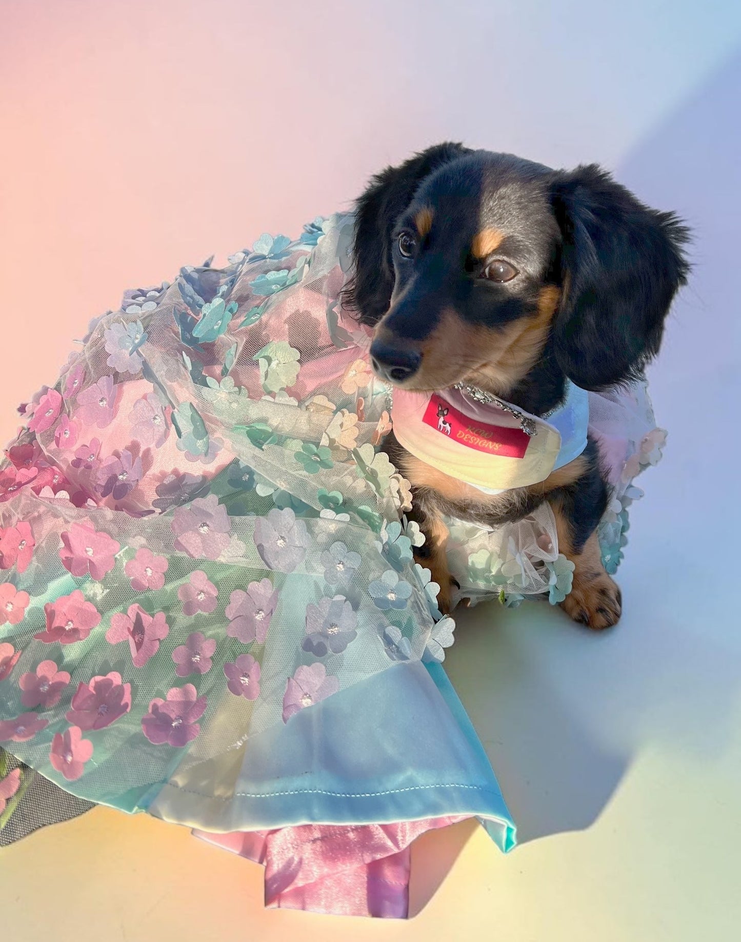 Flower pet dress, flower dog dress, flower cat dress, pastel pet dress, special occasion pet dress, couture pet dress, 3D flower pet dress