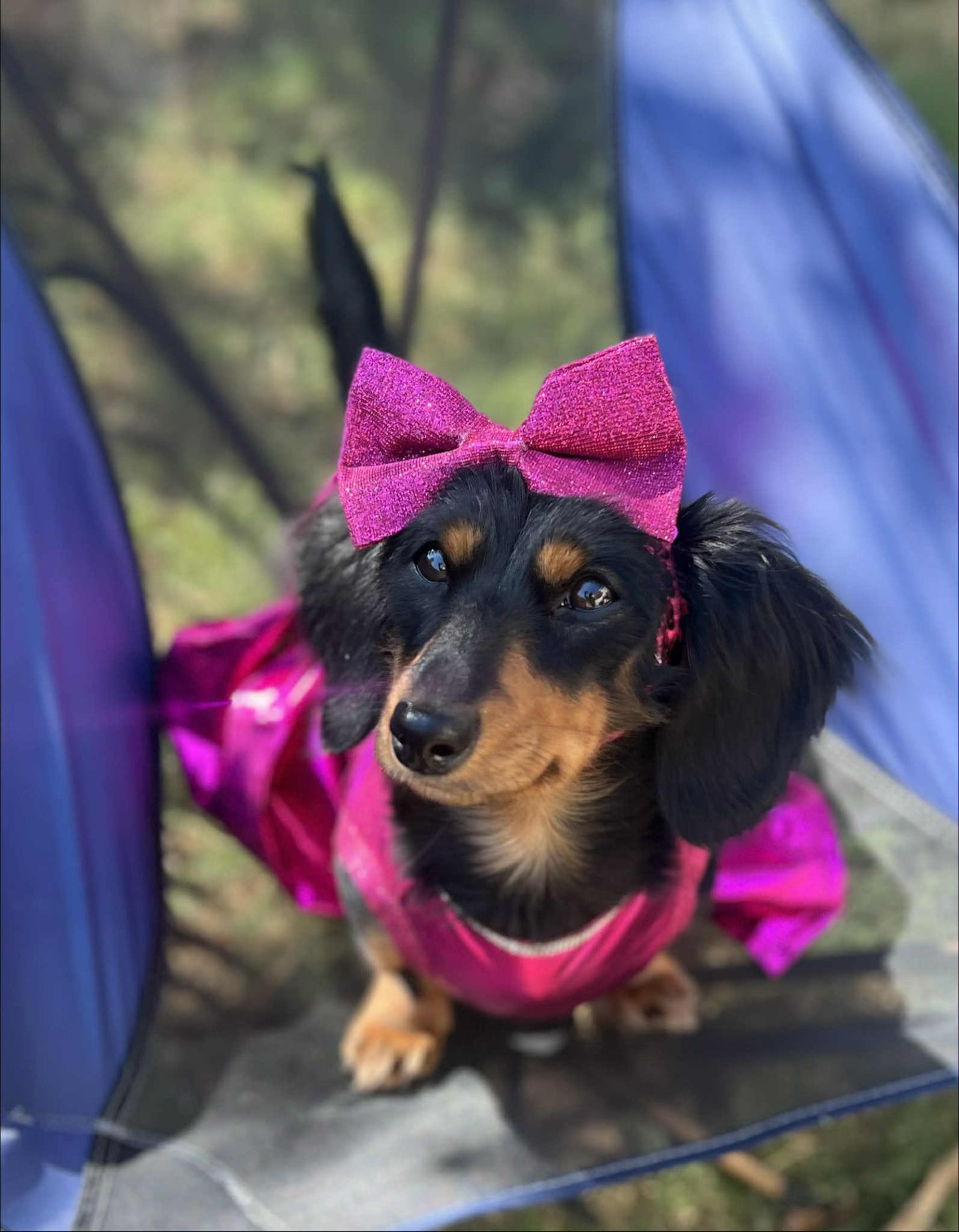 Barbie Pet Dress, Barbie dog dress, Barbie pet costume