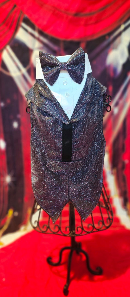Glitter pet vest and top hat, Pet suit and top hat
