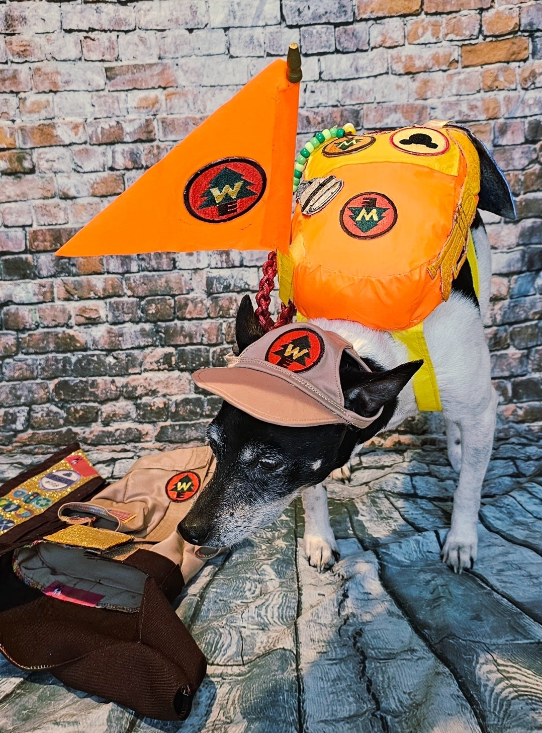 Russell from Up pet costume, Up Russell pet costume