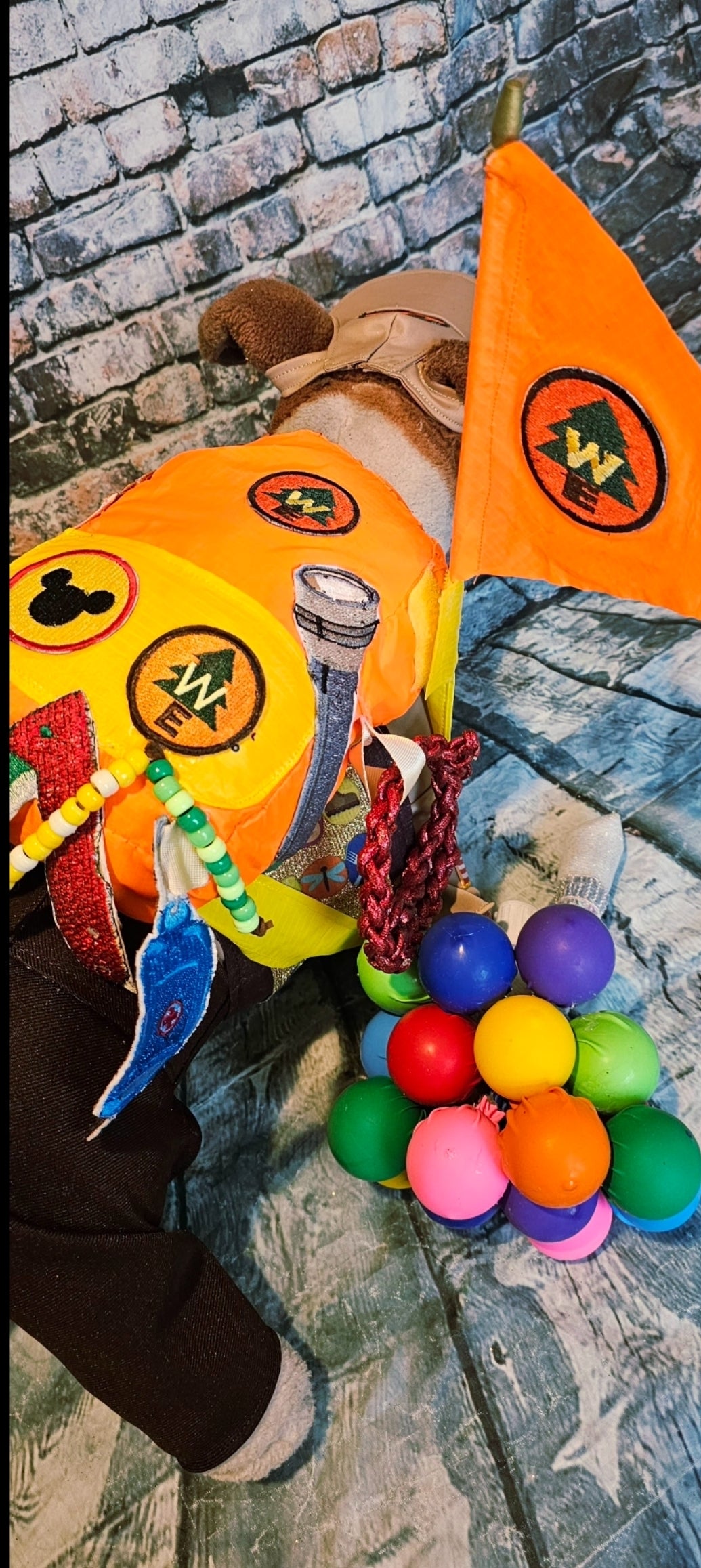 Russell from Up pet costume, Up Russell pet costume