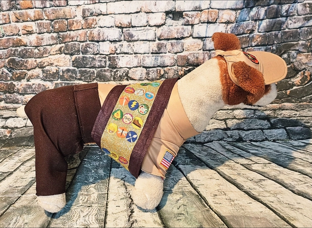 Russell from Up pet costume, Up Russell pet costume