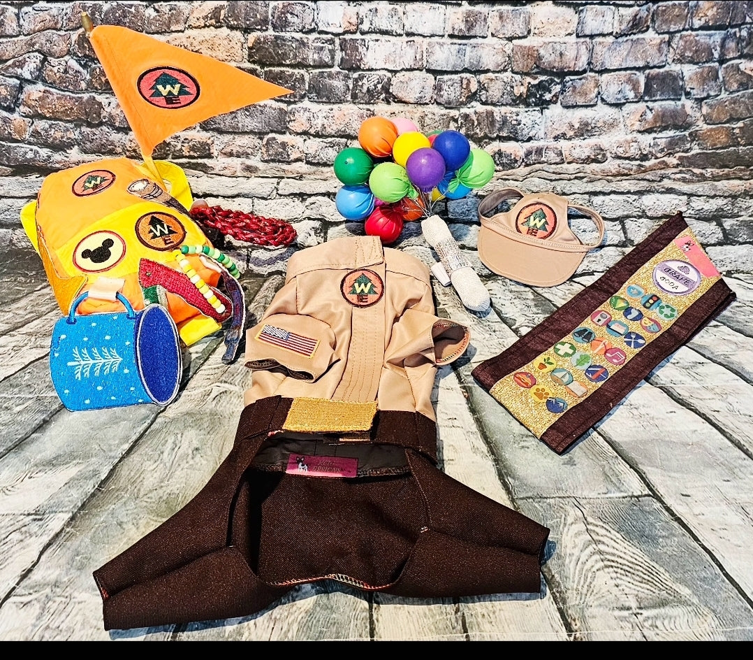Russell from Up pet costume, Up Russell pet costume