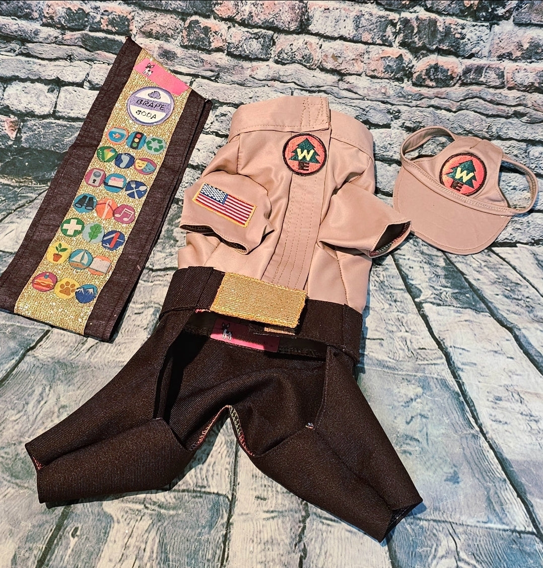 Russell from Up pet costume, Up Russell pet costume