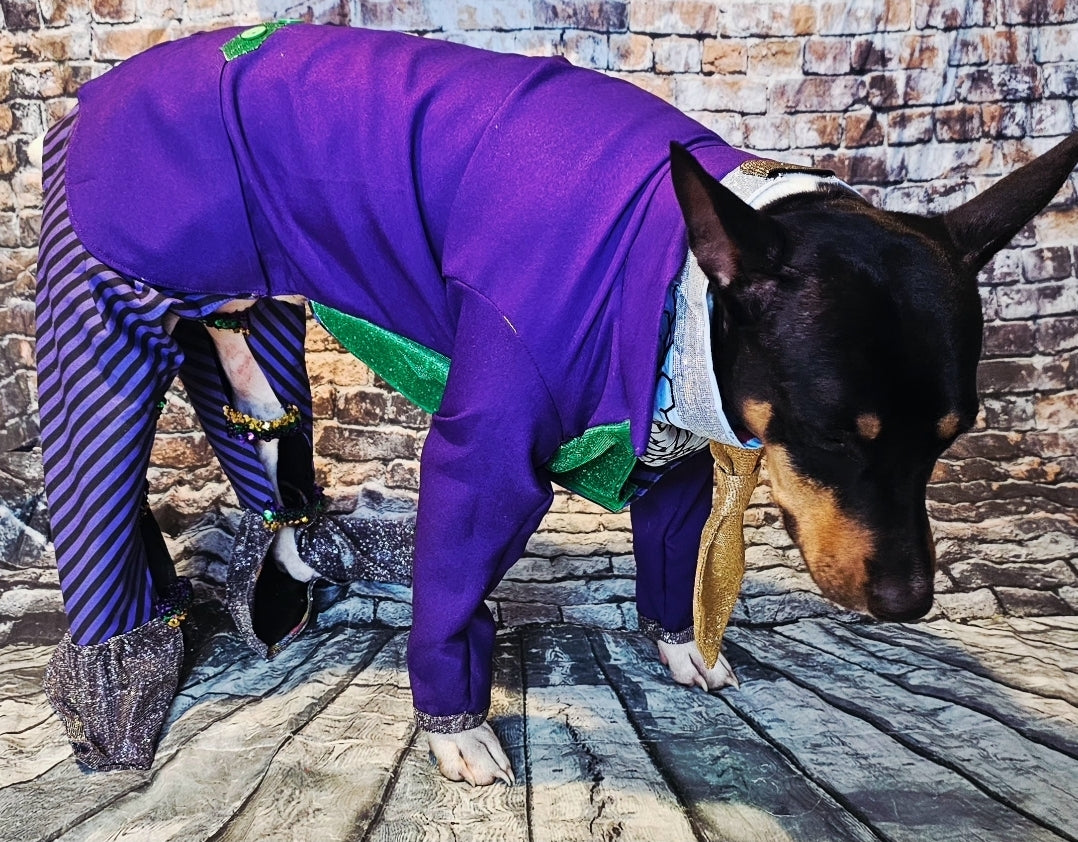 Joker pet costume, custom joker pet costume