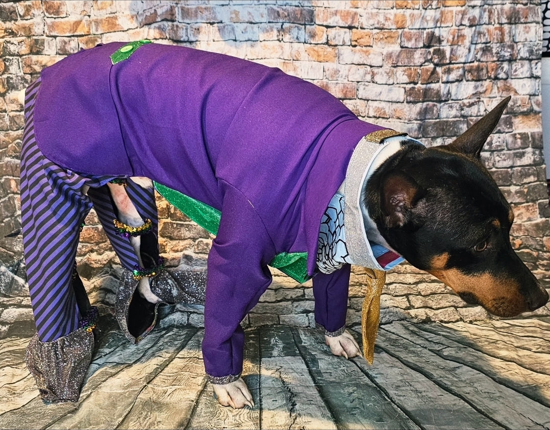 Joker pet costume, custom joker pet costume