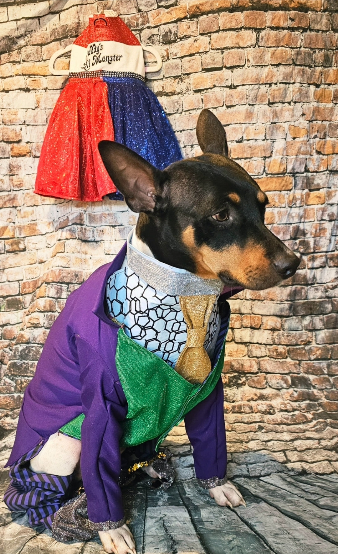 Joker pet costume, custom joker pet costume