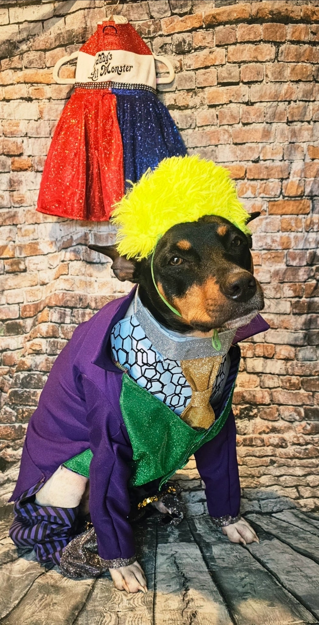 Joker pet costume, custom joker pet costume