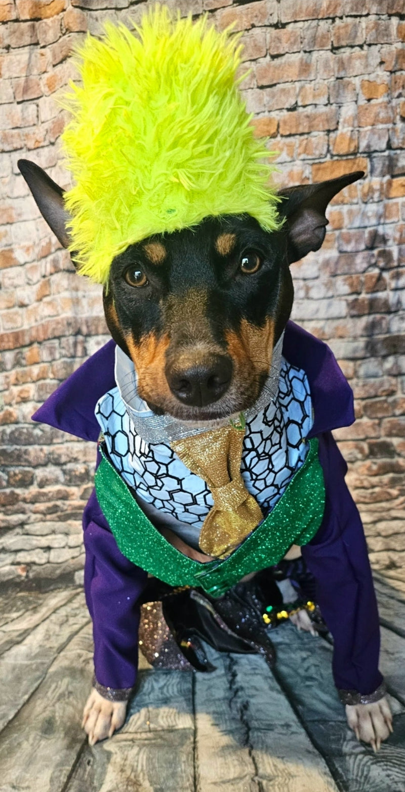 Joker pet costume, custom joker pet costume