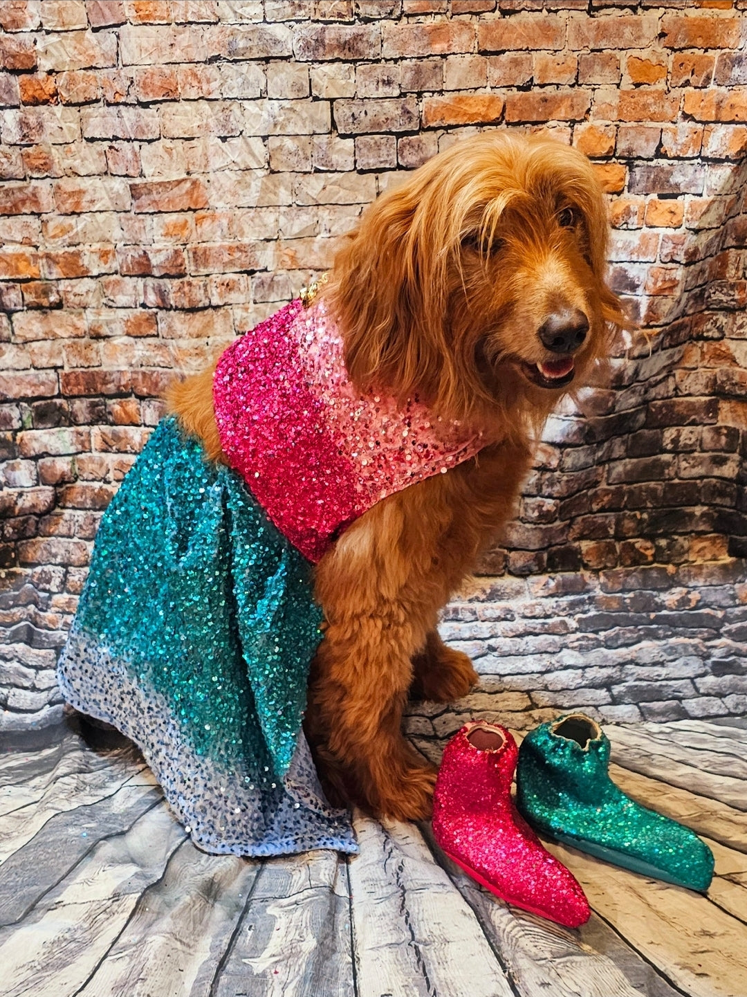 1989 pet costume, Taylor 1989 pet costume, 1989 dog costume, 1989 cat costume