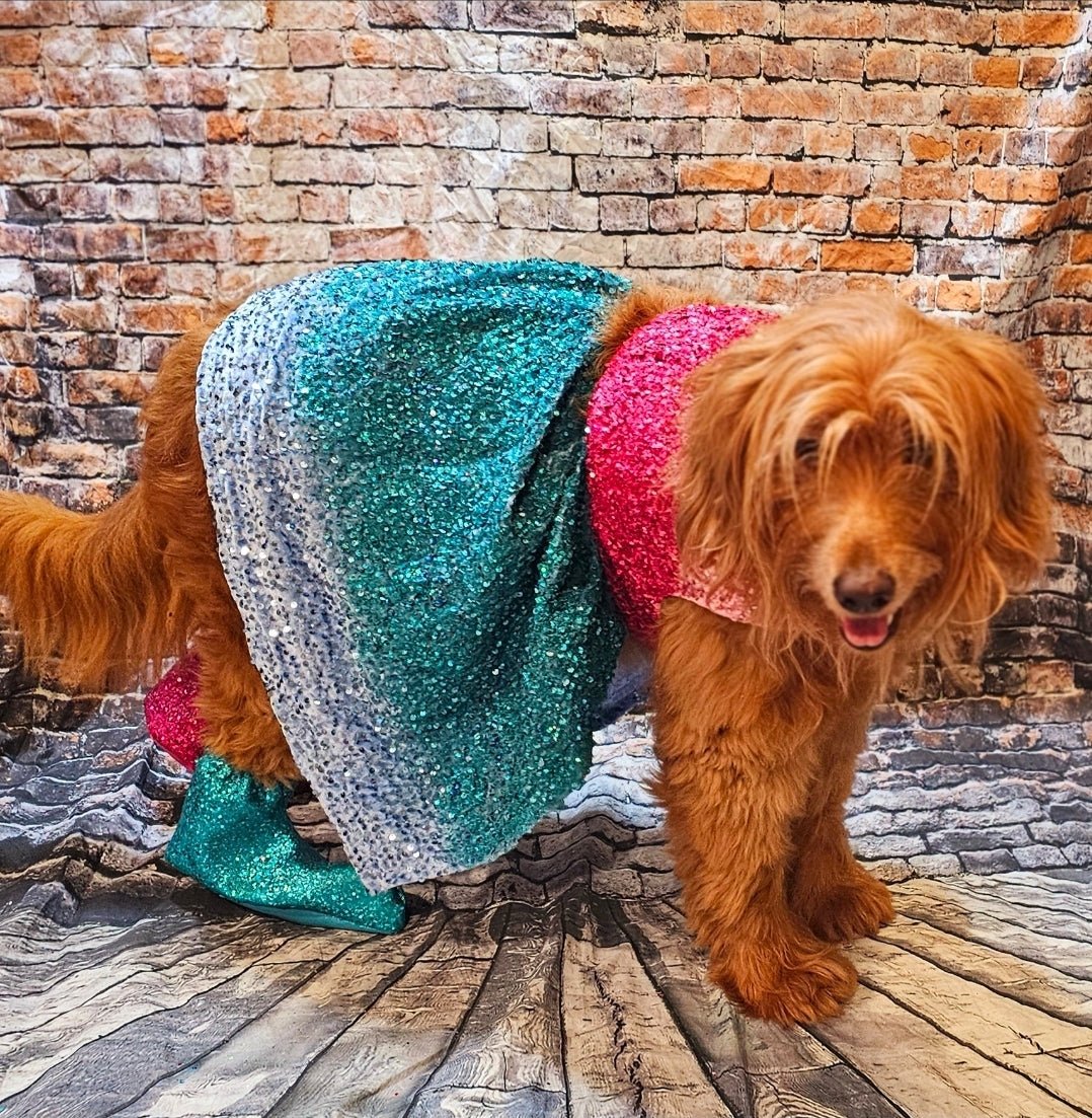 1989 pet costume, Taylor 1989 pet costume, 1989 dog costume, 1989 cat costume