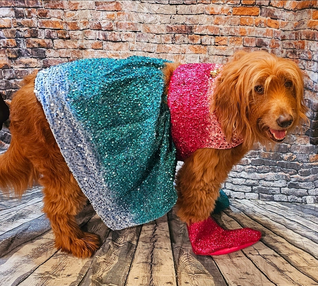 1989 pet costume, Taylor 1989 pet costume, 1989 dog costume, 1989 cat costume