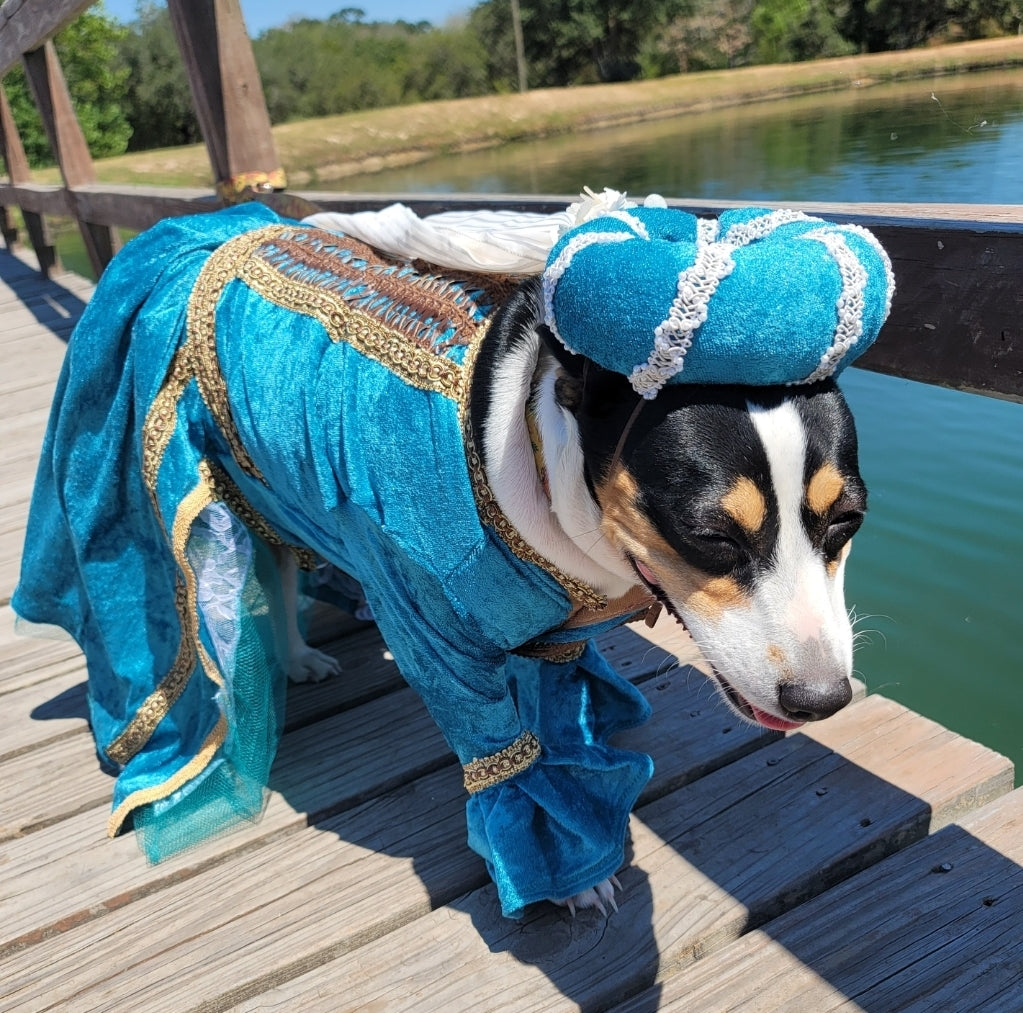 Renaissance pet dress, medieval pet dress, renaissance festival dog dress, renaissance cat dress