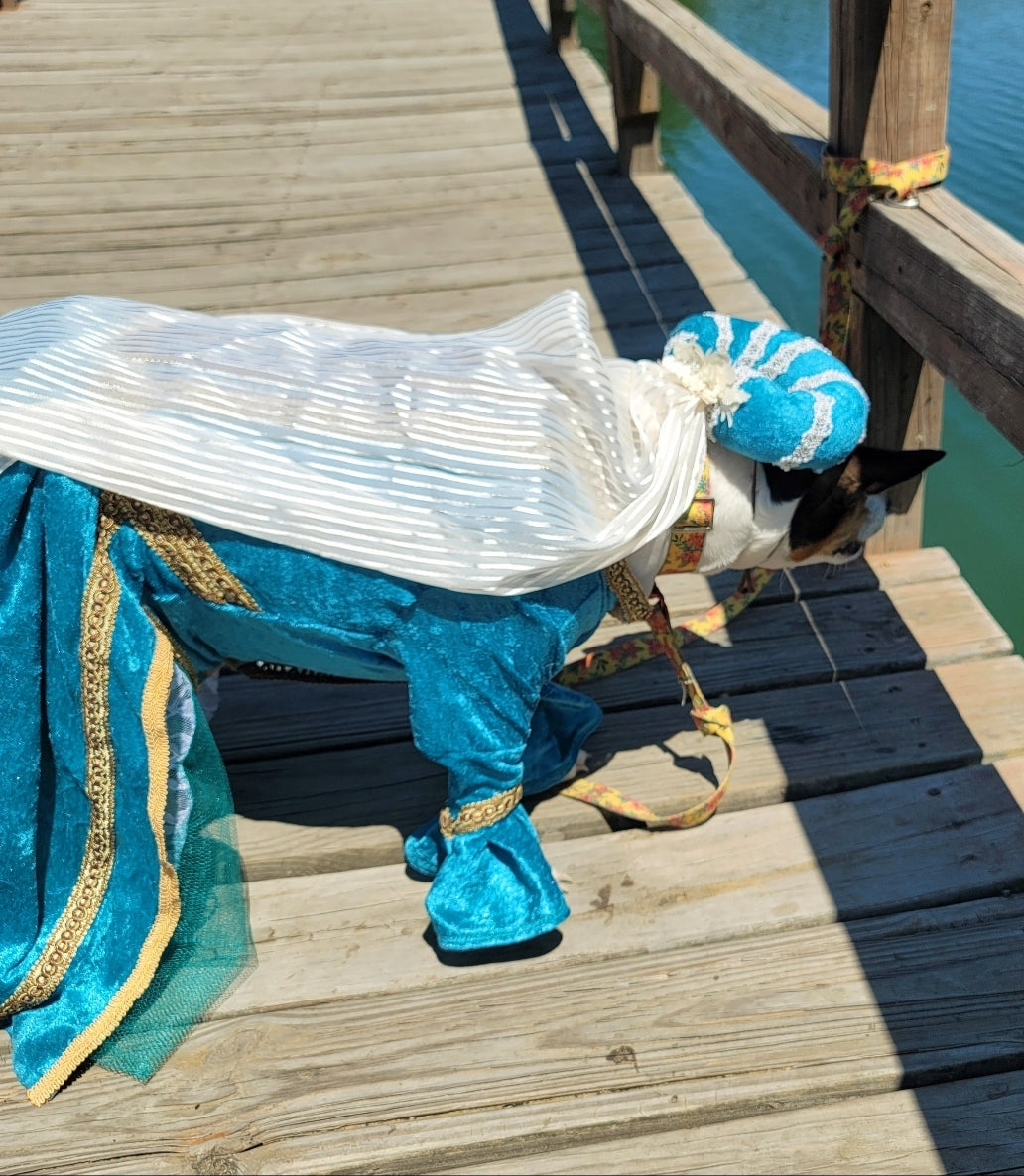 Renaissance pet dress, medieval pet dress, renaissance festival dog dress, renaissance cat dress