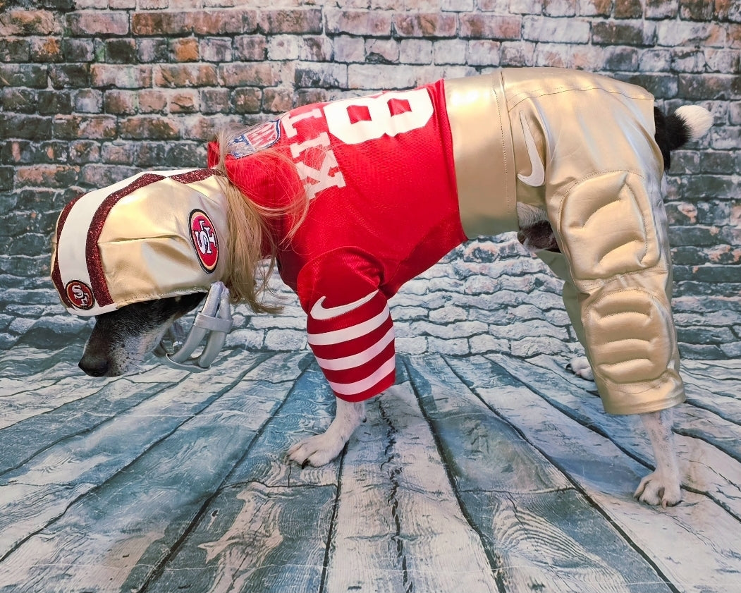 George Kittle pet costume, 49ers pet costume, football uniform pet costume