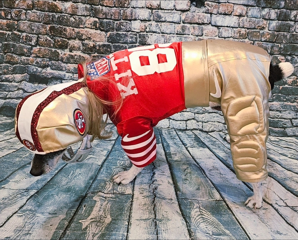 George Kittle pet costume, 49ers pet costume, football uniform pet costume