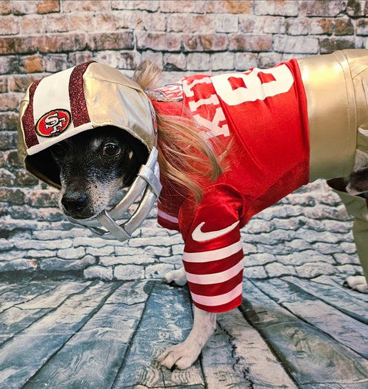 George Kittle pet costume, 49ers pet costume, football uniform pet costume
