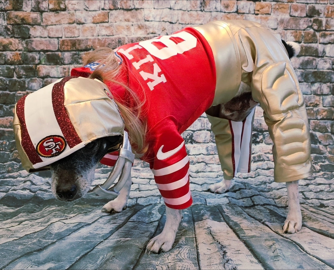 George Kittle pet costume, 49ers pet costume, football uniform pet costume