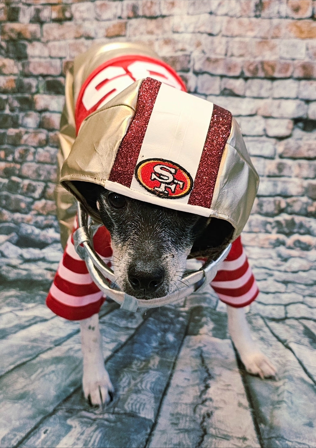 George Kittle pet costume, 49ers pet costume, football uniform pet costume
