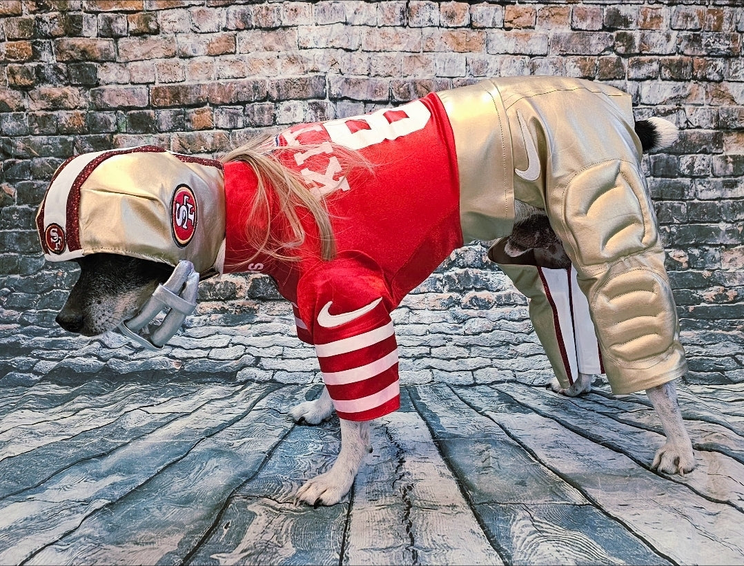George Kittle pet costume, 49ers pet costume, football uniform pet costume