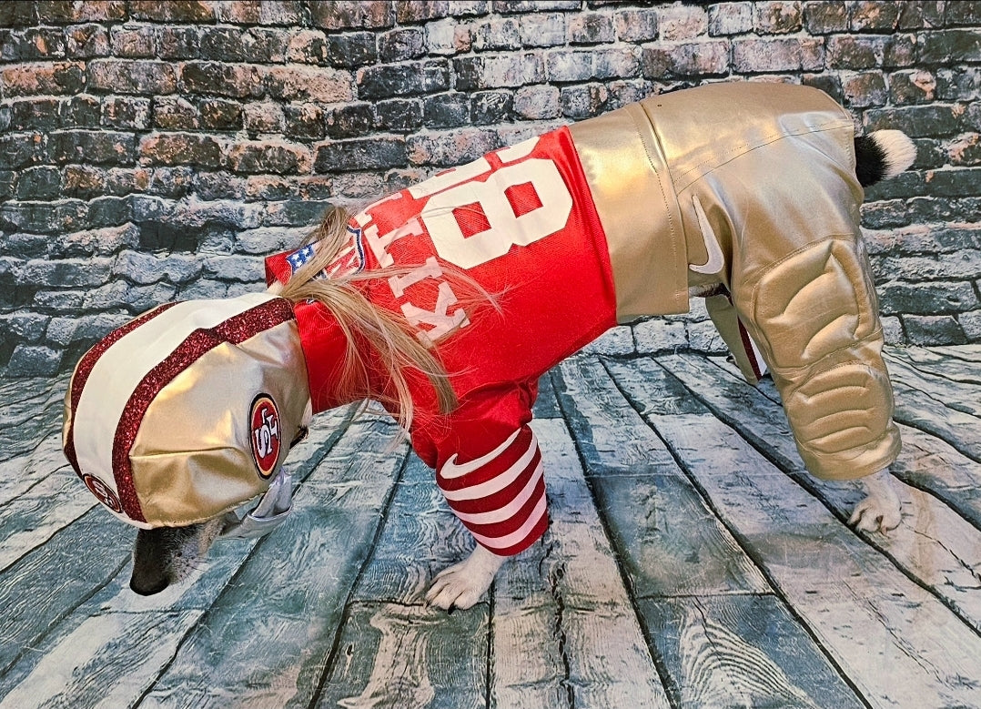 George Kittle pet costume, 49ers pet costume, football uniform pet costume