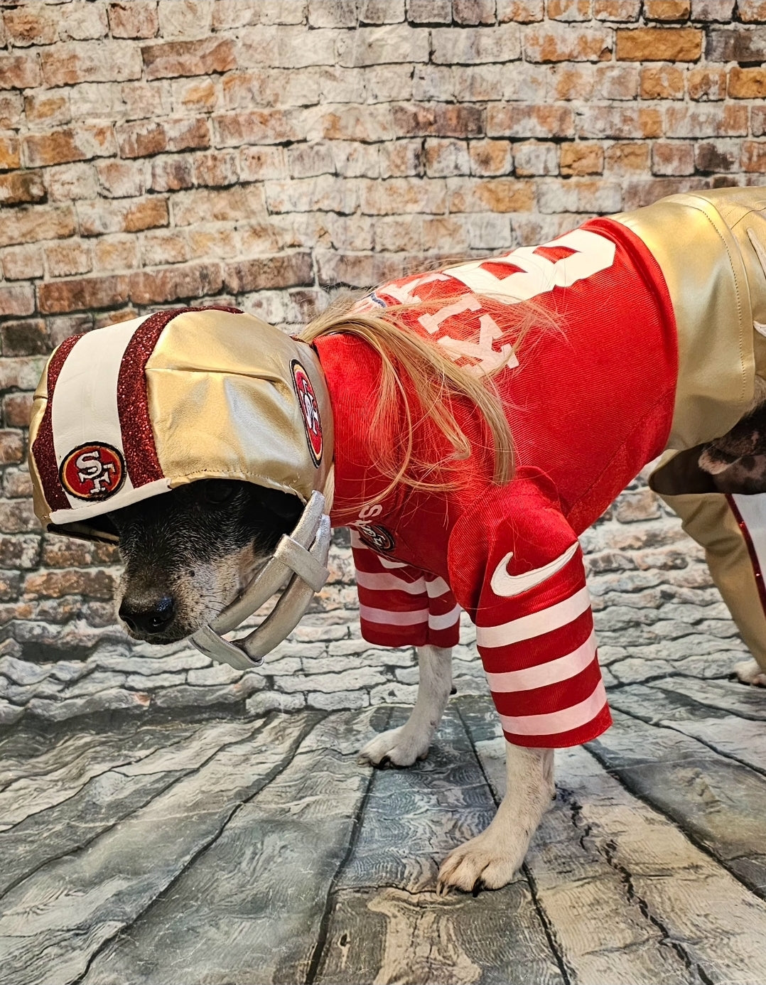 George Kittle pet costume, 49ers pet costume, football uniform pet costume