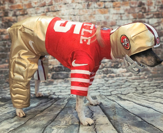 George Kittle pet costume, 49ers pet costume, football uniform pet costume