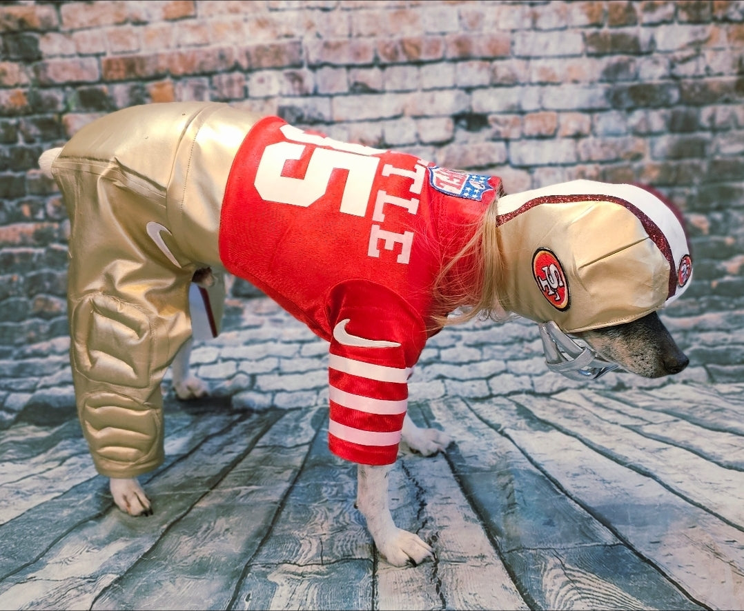 George Kittle pet costume, 49ers pet costume, football uniform pet costume