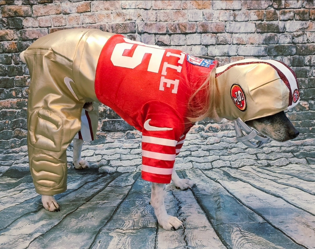 George Kittle pet costume, 49ers pet costume, football uniform pet costume