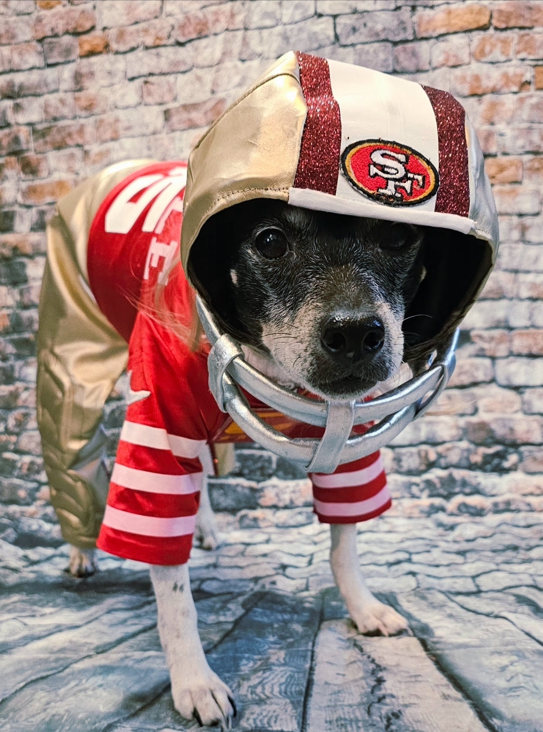 George Kittle pet costume, 49ers pet costume, football uniform pet costume