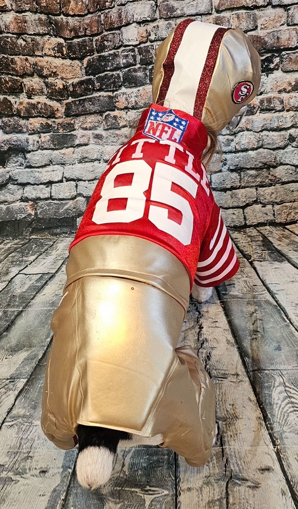 George Kittle pet costume, 49ers pet costume, football uniform pet costume