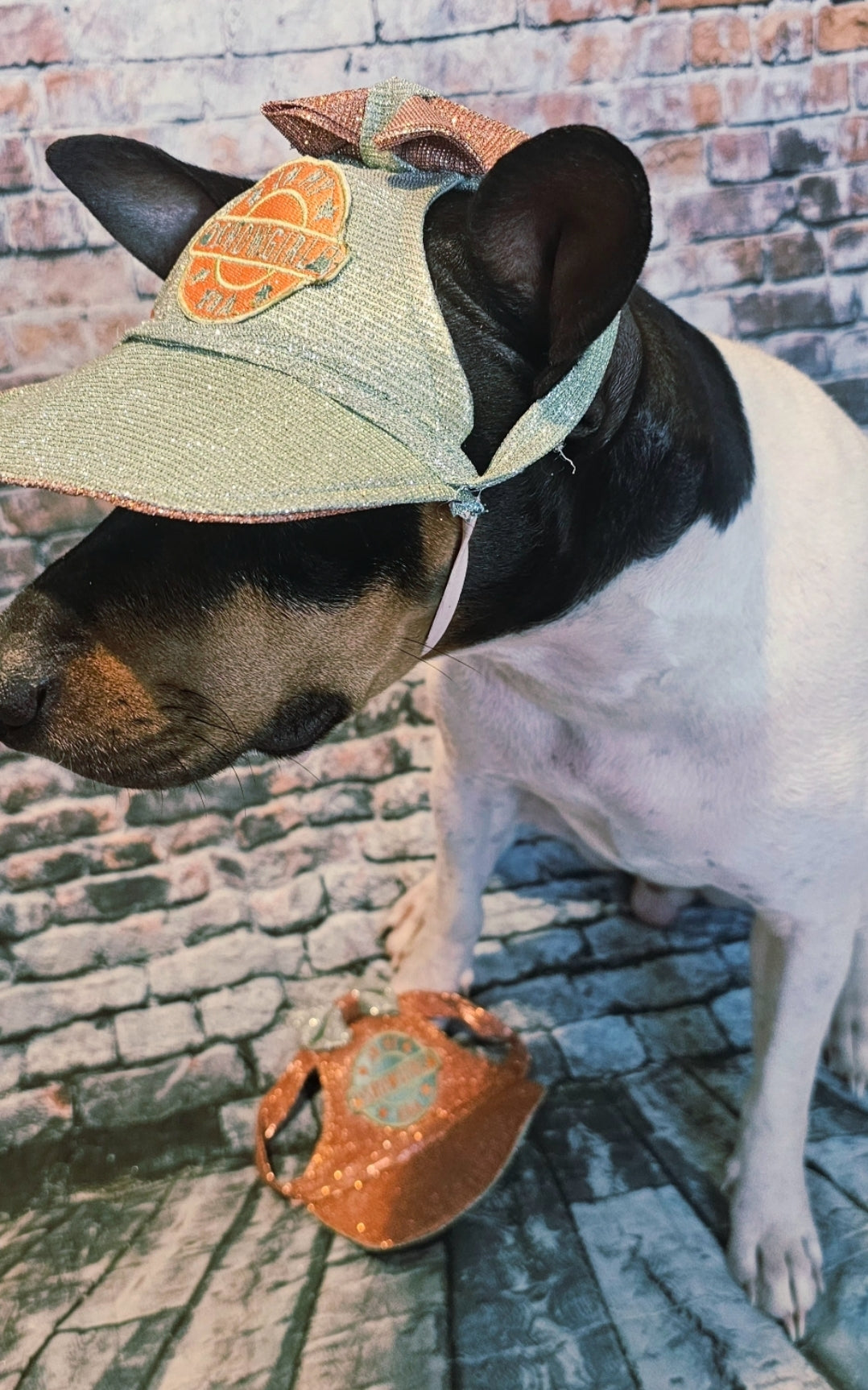 Showgirl Pet hat, glitter pet hat, showgirl cat hat, showgirl doghat