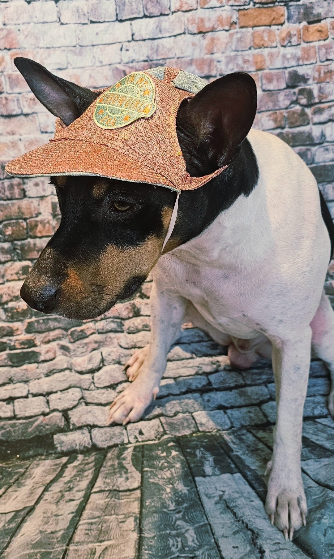 Showgirl Pet hat, glitter pet hat, showgirl cat hat, showgirl doghat