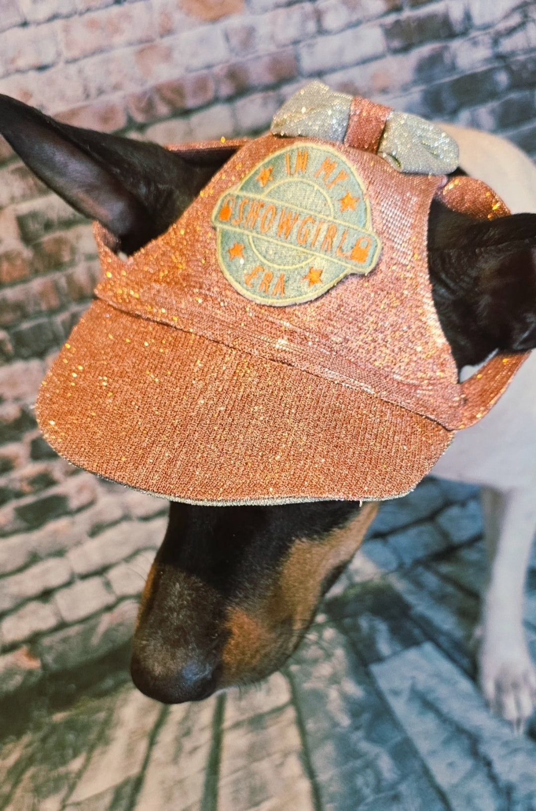 Showgirl Pet hat, glitter pet hat, showgirl cat hat, showgirl doghat