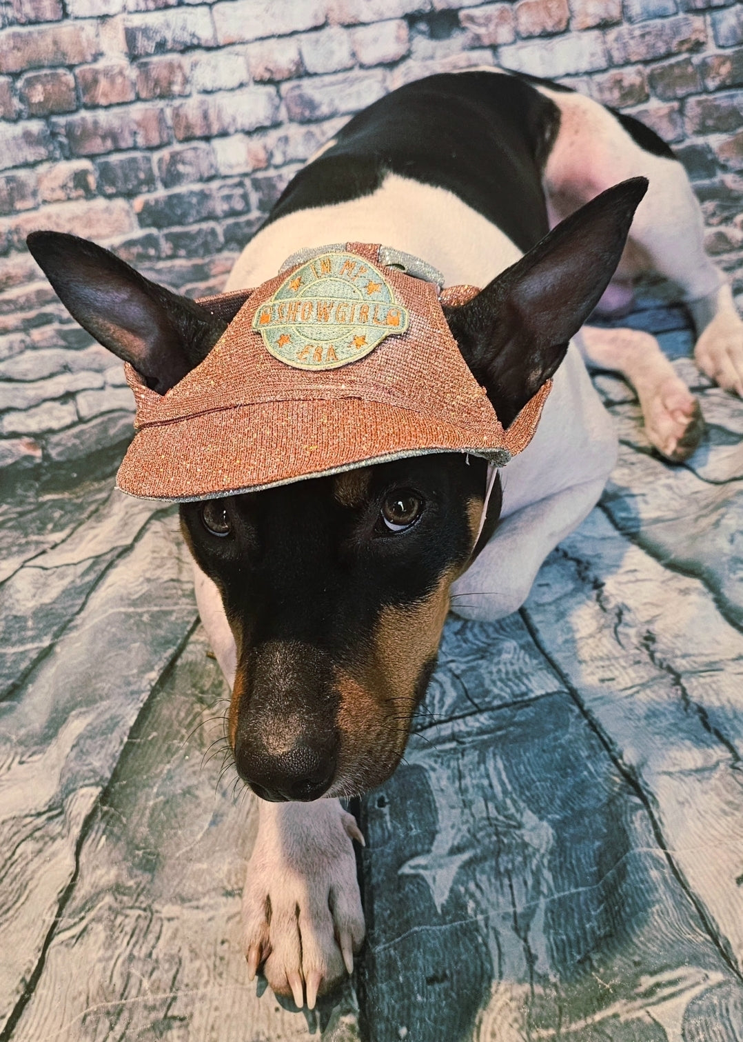 Showgirl Pet hat, glitter pet hat, showgirl cat hat, showgirl doghat