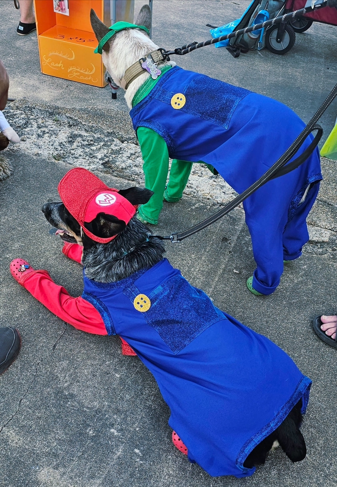 Mario pet costume, Luigi pet costume, Mario dog costume, Luigi dog costume