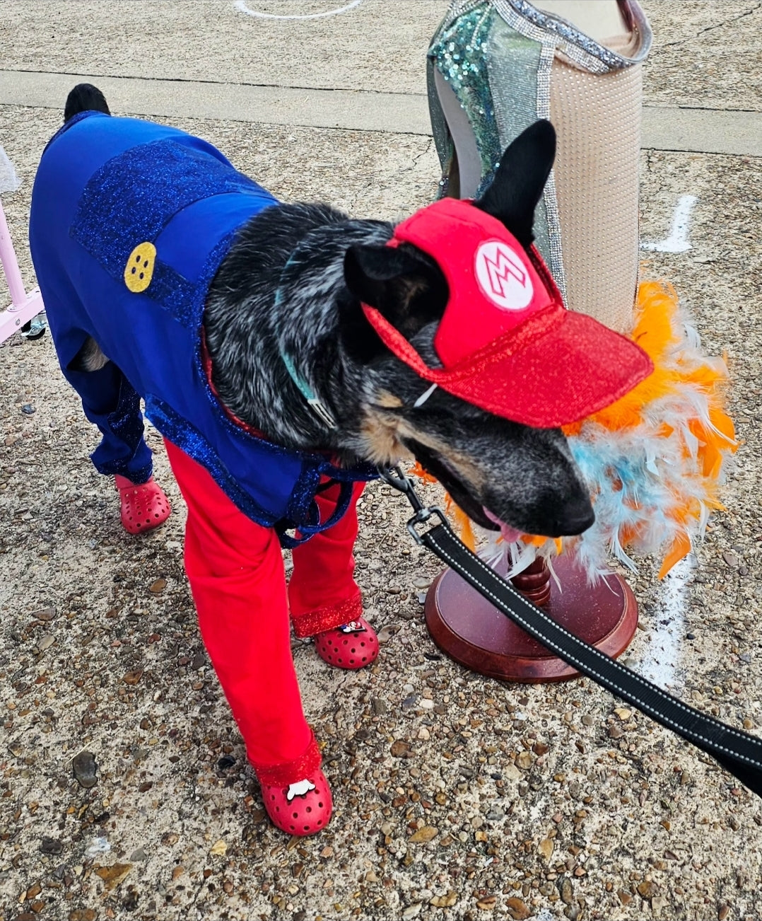 Mario pet costume, Luigi pet costume, Mario dog costume, Luigi dog costume