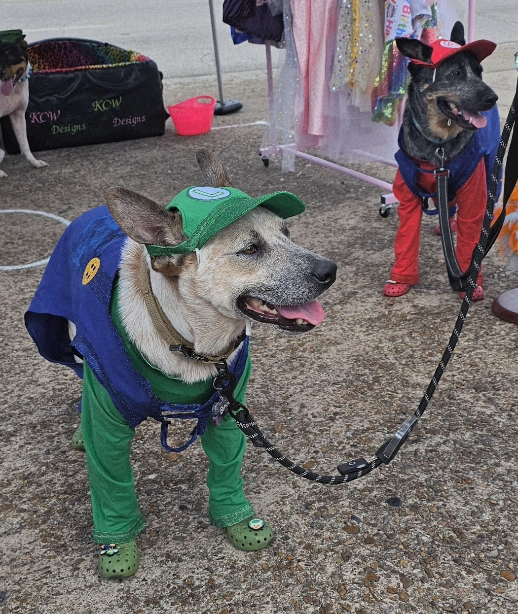 Mario pet costume, Luigi pet costume, Mario dog costume, Luigi dog costume