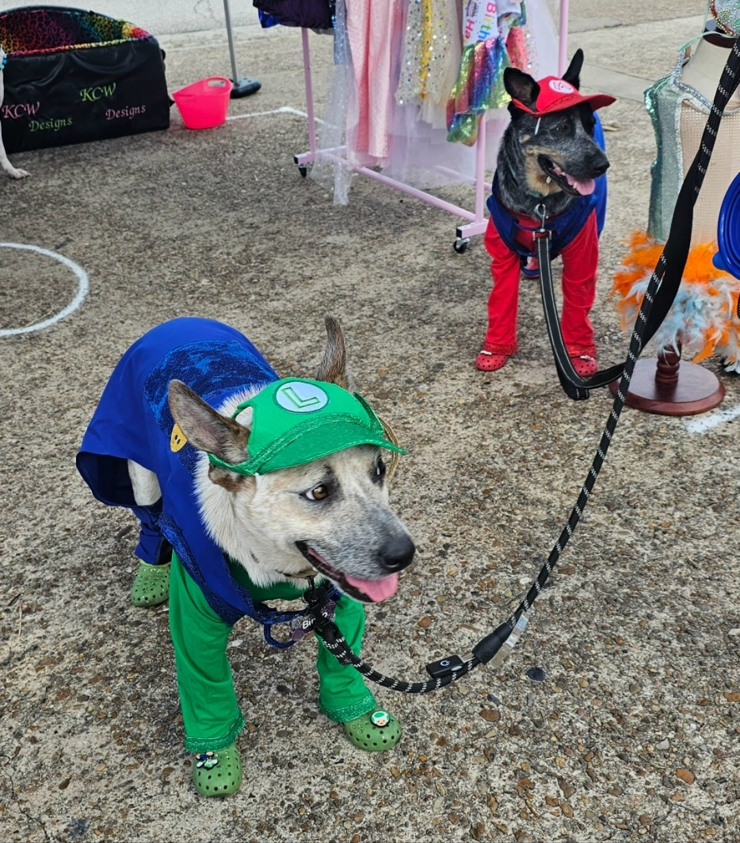 Mario pet costume, Luigi pet costume, Mario dog costume, Luigi dog costume