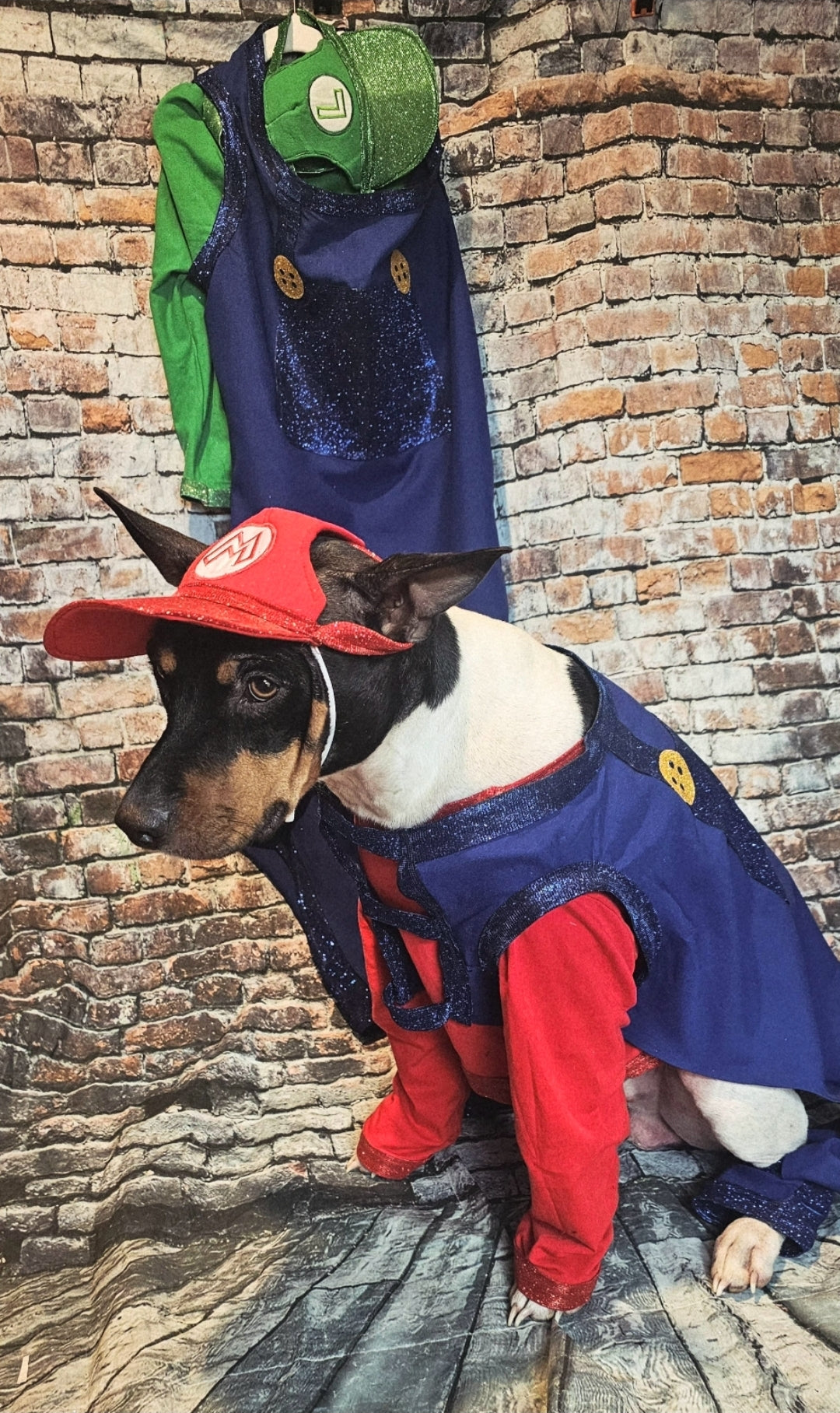 Mario pet costume, Luigi pet costume, Mario dog costume, Luigi dog costume