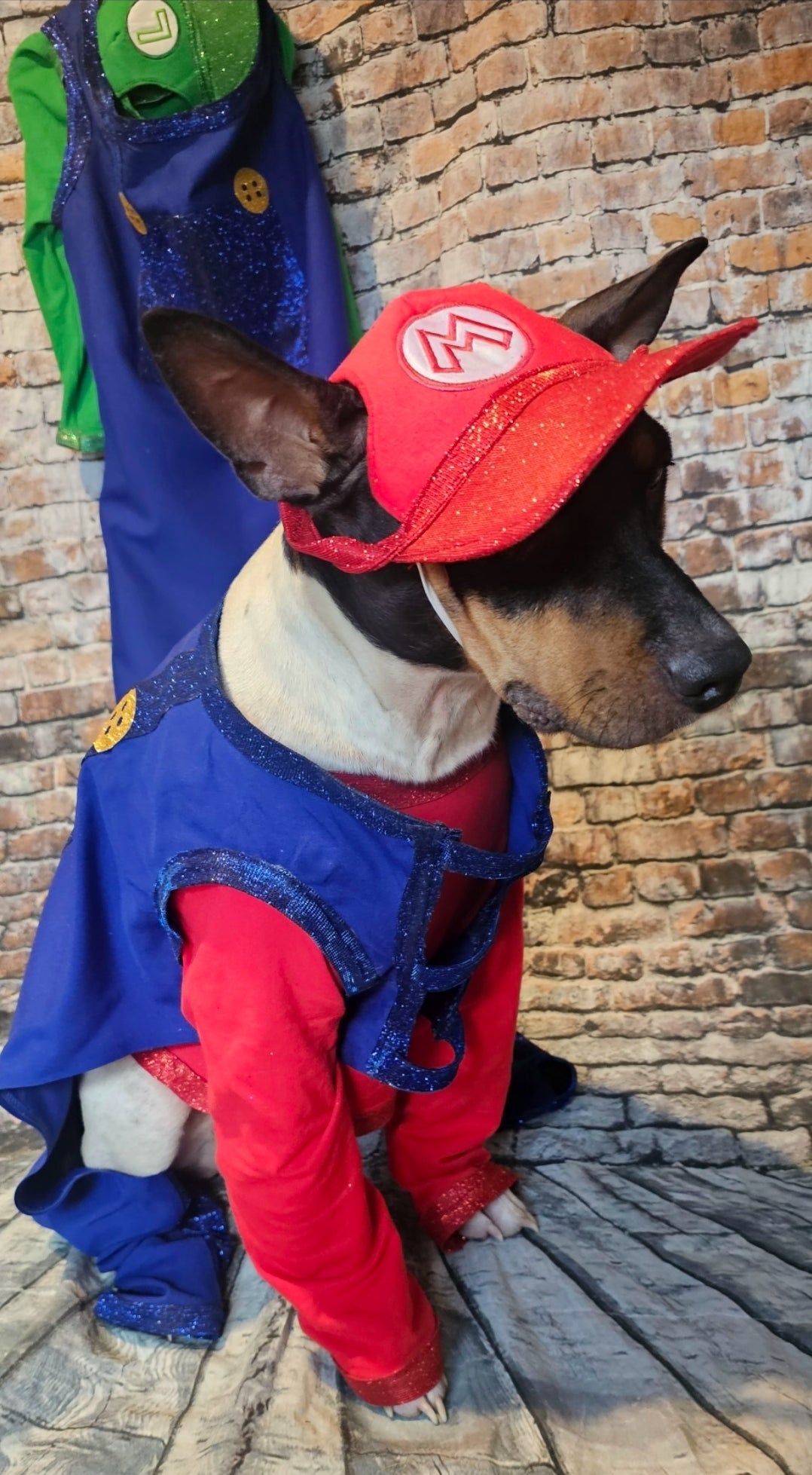 Mario pet costume, Luigi pet costume, Mario dog costume, Luigi dog costume